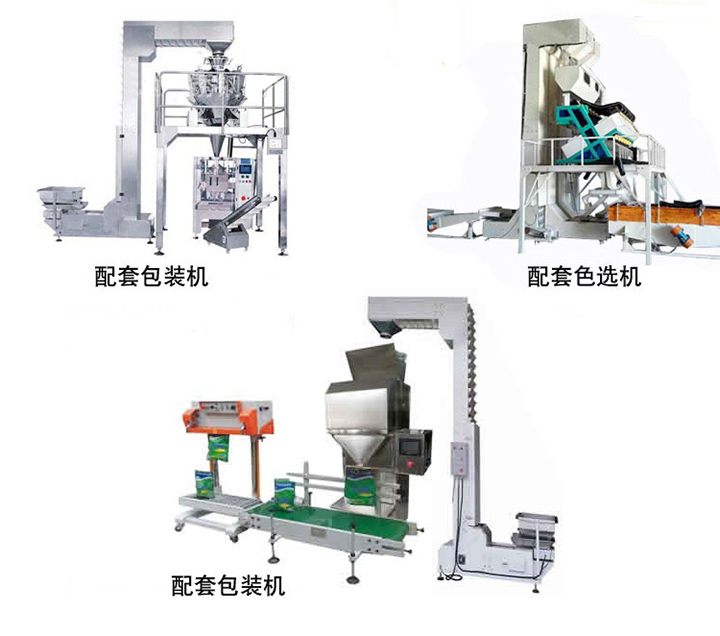 炒貨Z型上料機廠家.jpg